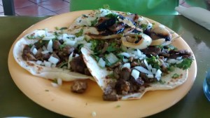 ElReydelTaco
